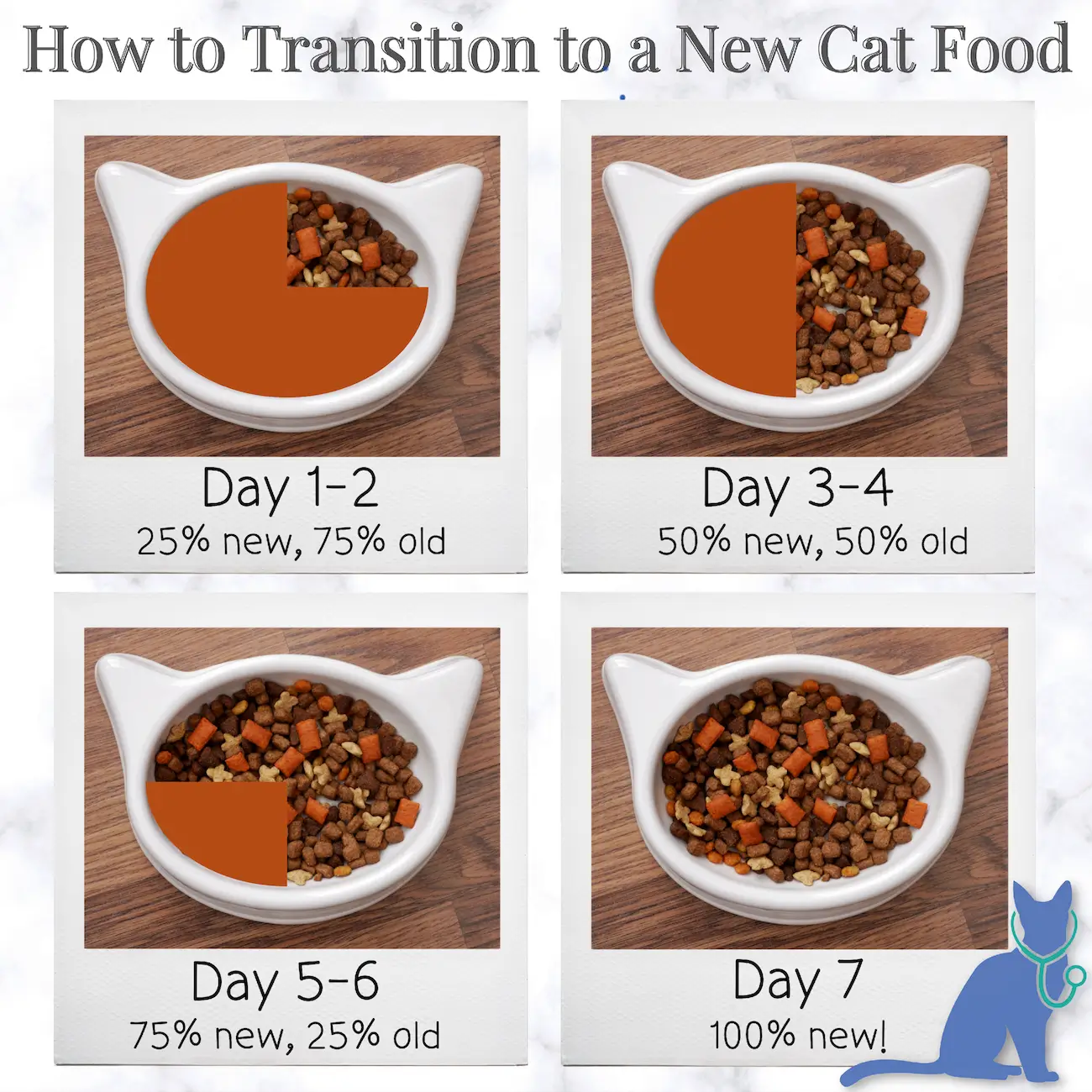 Image showcasing How to Help a Cat Lose Weight | Effective Weight Loss Plan